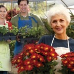 nh small business owners