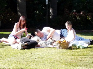 family on picnic