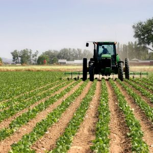 Conservation Easements