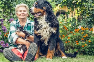 Pet planning New Hampshire